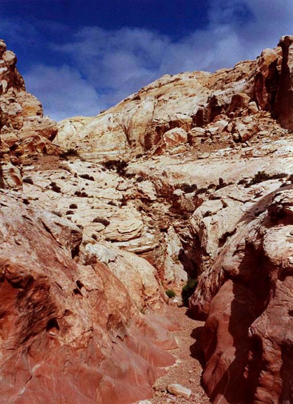 04160302LittleWildHorse (1015)